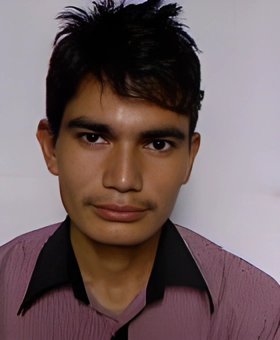 शंकु प्रसाद जैसी